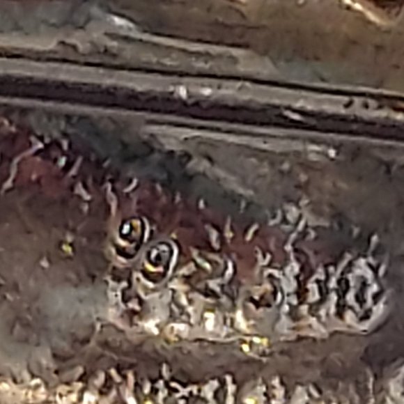 Blue bird on a branch Sterling Pin - Picture 3 of 5